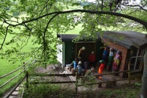Schule im Wald